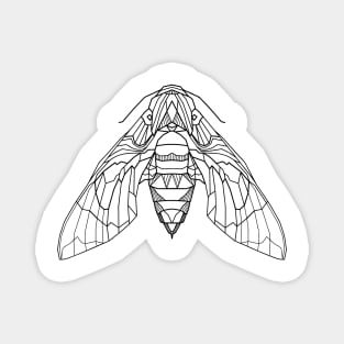 Geometric moth Magnet