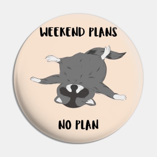 No plan raccoon Pin