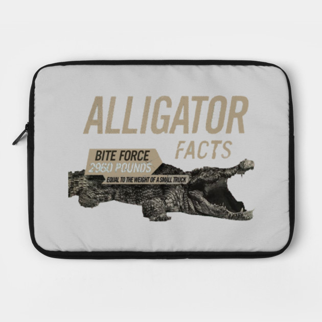 Alligator Weight Chart