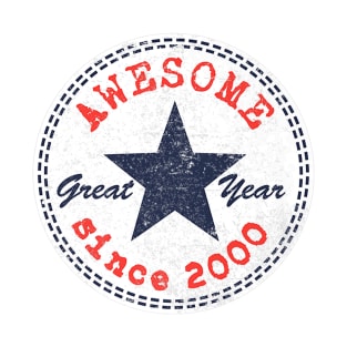 Awesome Since 2000 19th Birthday Gifts 19 Year Old Boy Girl T-Shirt