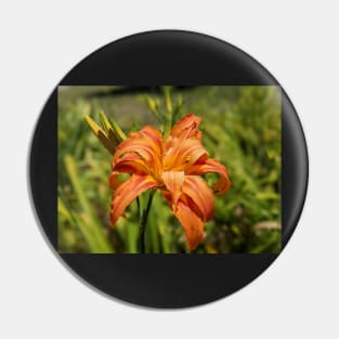 First Day Lily Bloom of the Season Pin