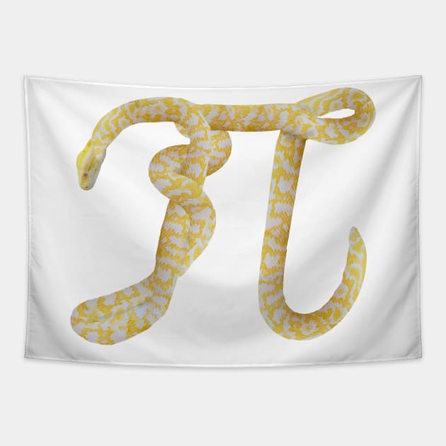 Pi-thon Tapestry by scottsherwood