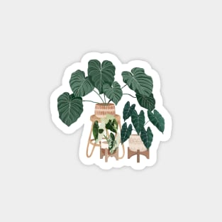 House plants collection 3.7 Magnet