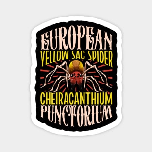 European Yellow Sac Spider Magnet