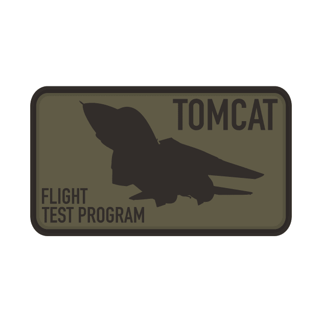 F-14 Tomcat by Firemission45