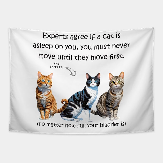 Experts agree if a cat is asleep on you you must never move no matter how full your bladder is - funny watercolour cat design Tapestry by DawnDesignsWordArt