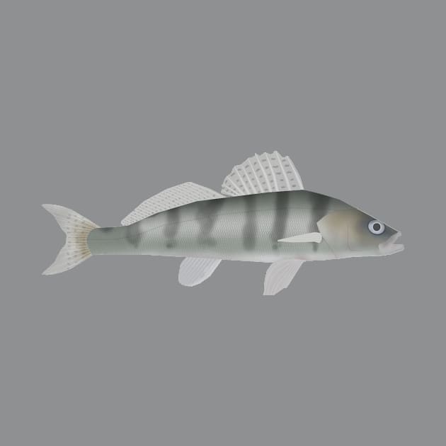 Volga Pikeperch by FishFolkArt