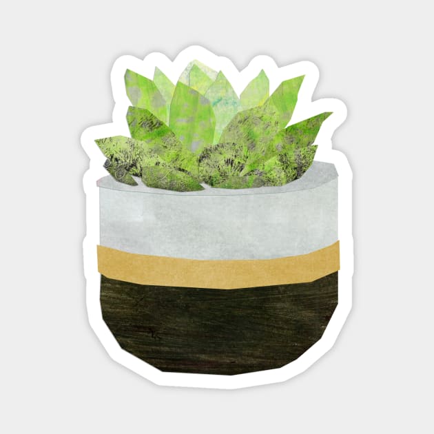 Houseplant - Echeveria Magnet by Babban Gaelg