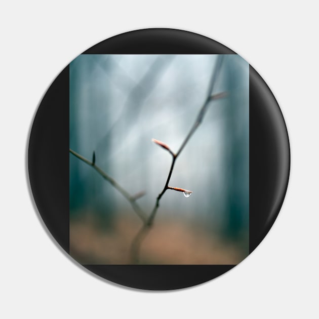 Raindrop on a twig in the forest Pin by naturalis