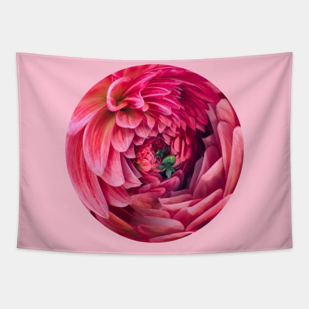 Dahlia - Back Graphic Tapestry by Owen St Merch