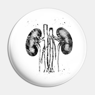 Kidneys anatomy Pin