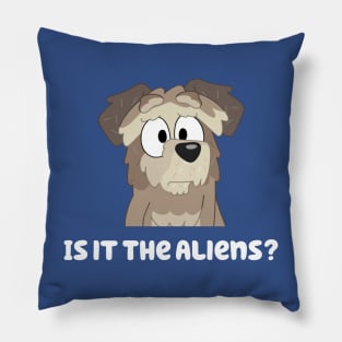 Is It The Aliens? Pillow