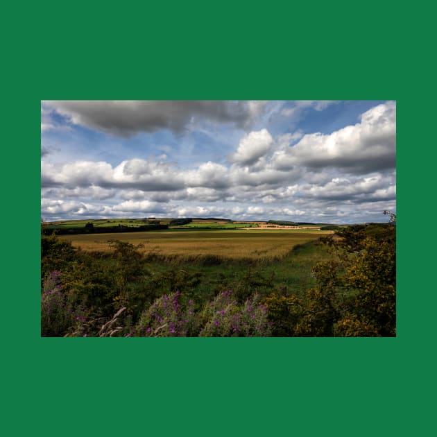 Rural Northumberland by Violaman