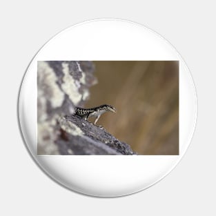 Grand Skink - Sentinel Pin