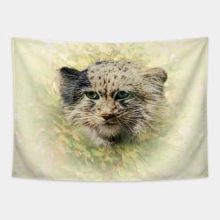 Manul-Pallas's cat Tapestry