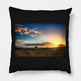 Sunny Disposition Pillow