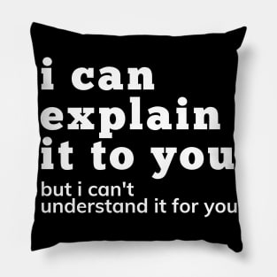 I Can Explain It To You But I Can't Understand It For You. Snarky Sarcastic Comment. Pillow