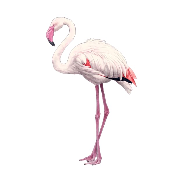 Flamingo by Atarial