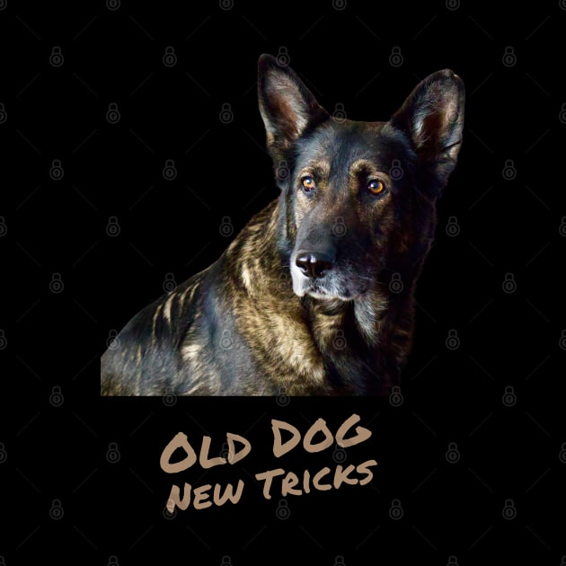 German Shepherd - Old Dog New Tricks by Print Magic Studios