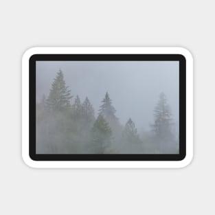 Fog Magnet