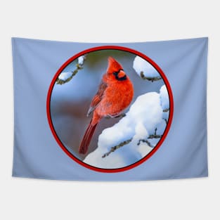 Northern Cardinal in Winter - Original Photograph Tapestry