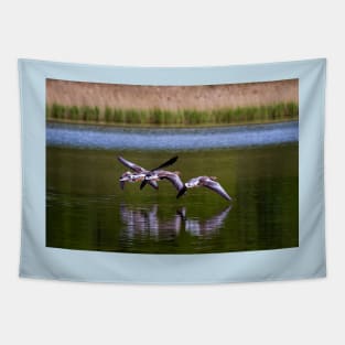 Greylag Geese in flight Tapestry