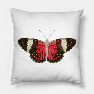 butterfly Pillow