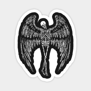 Winged Skeleton Magnet