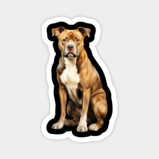 American Staffordshire Terrier Magnet