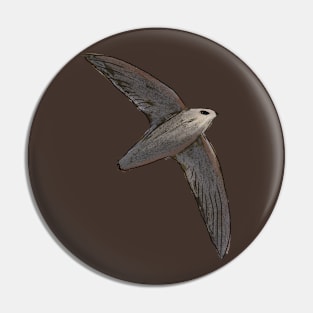 Chimney Swift Pin