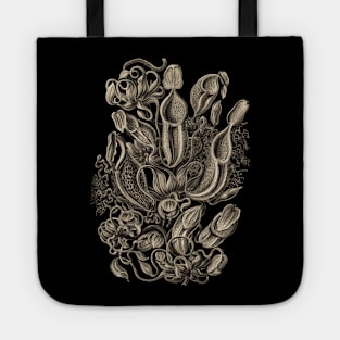 Ernst Haeckel  Pitcher Plant Wenge Tote