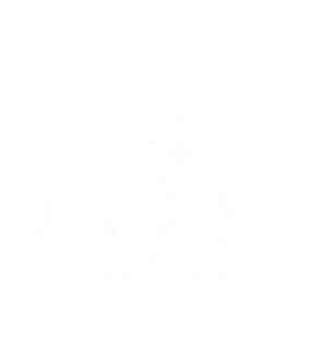 Boulder Curling Co - Curling Rock Magnet