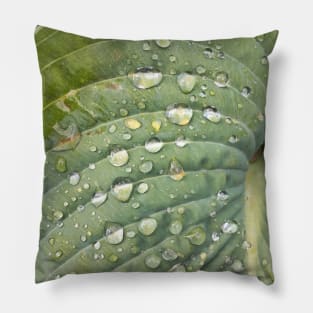 Green leaf Pillow