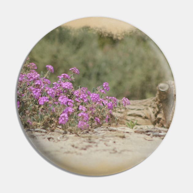 Vintage Look Desert Scene Digital Art Pin by ButterflyInTheAttic