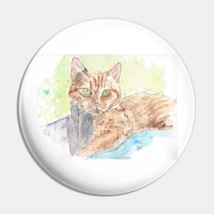 Ginger tabby cat portrait Pin