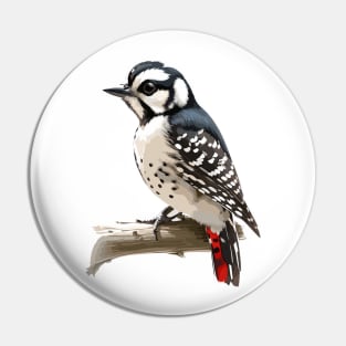 Downy Woodpecker Standing on Branch Pin