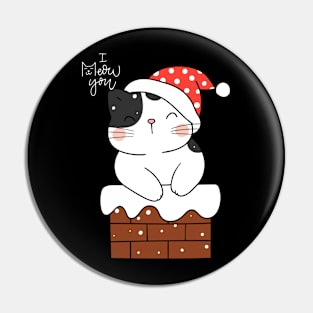 Christmas cat Pin