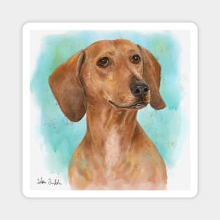 Portrait of a Dachshund in Watercolor with Turquoise Background Magnet