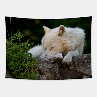 Arctic Wolf Tapestry