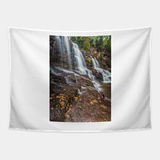 Gooseberry Falls State Park Tapestry