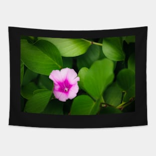 Purple flower between green leaves Tapestry