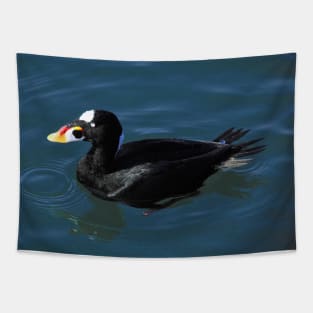 Surf Scoter Ducks at the Pier Tapestry