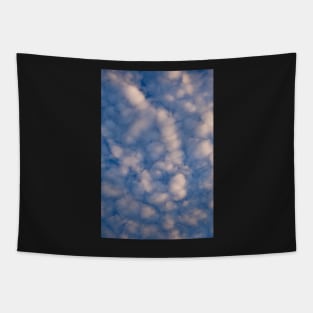 Fluffy Clouds Tapestry