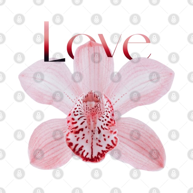 Light Pink Orchid with Text Love by ArtMorfic