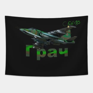 Suchoi Su-25 Tapestry