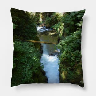 Sol Duc Falls Stream Nature Photography Pacific Northwest Pillow