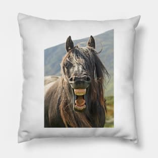 The "Laughing" Horse Pillow