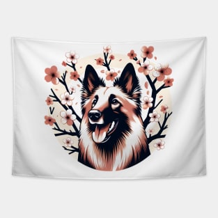 Belgian Tervuren Welcomes Spring with Cherry Blossoms Ablaze Tapestry