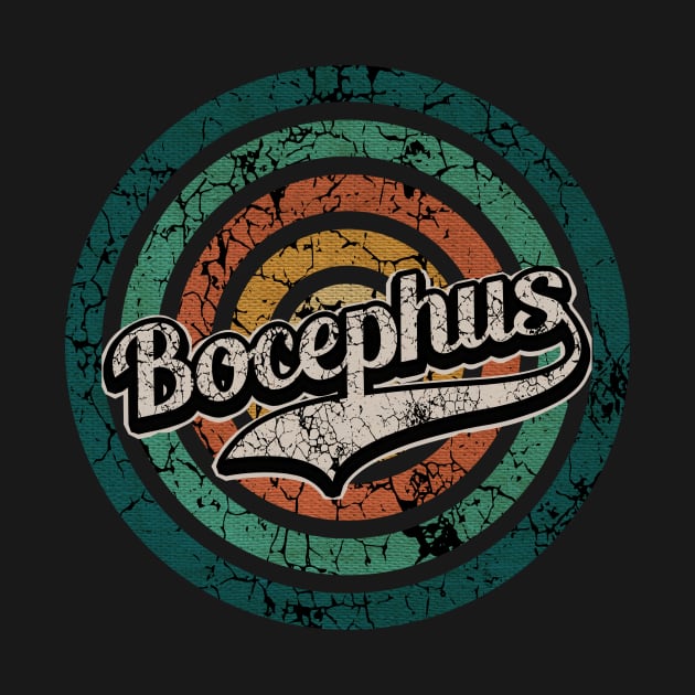 Bocephus // Retro Circle Crack Vintage by People Mask