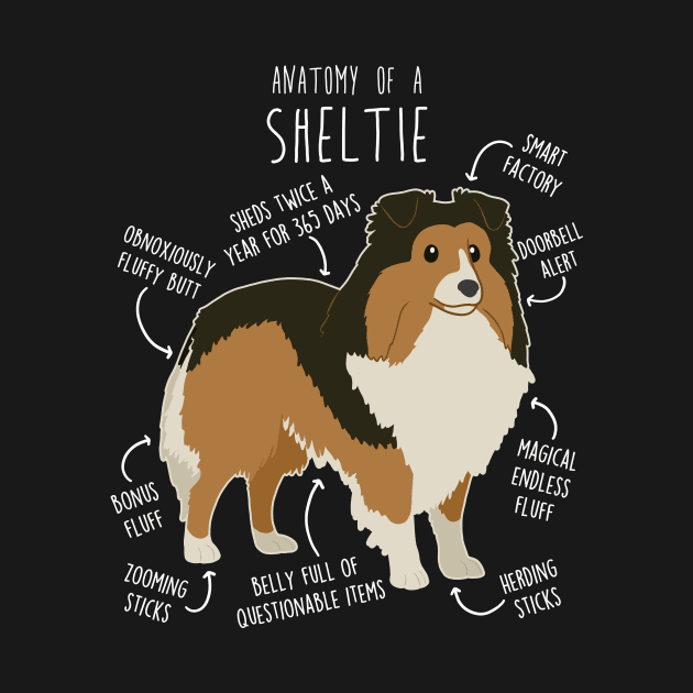 Sheltie Shetland Sheepdog Anatomy by Psitta